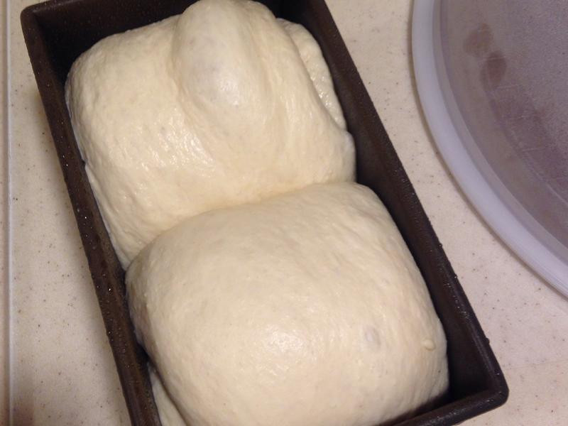 ����������˾������