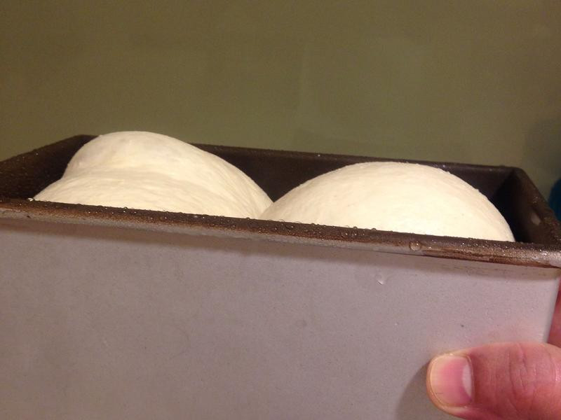 ����������˾������