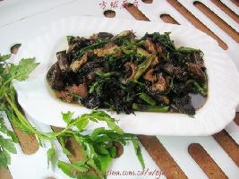 Ұ�۲˳�Ģ��������