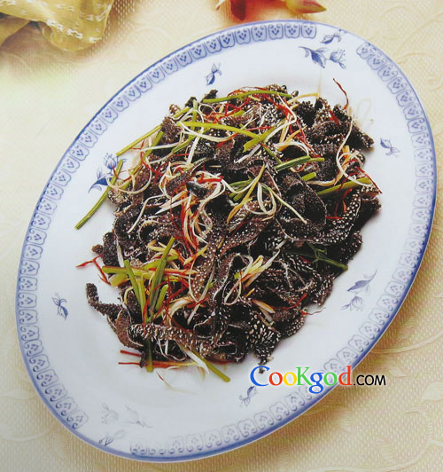 �ͱ���Ҷ������