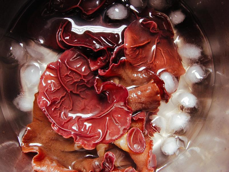 ��ľ�������������ε�����