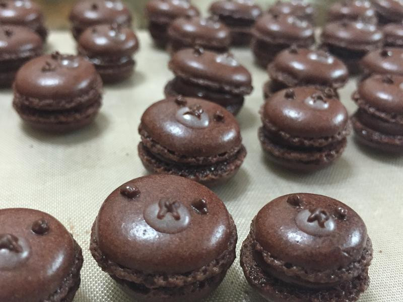 �����ɿ���������������������