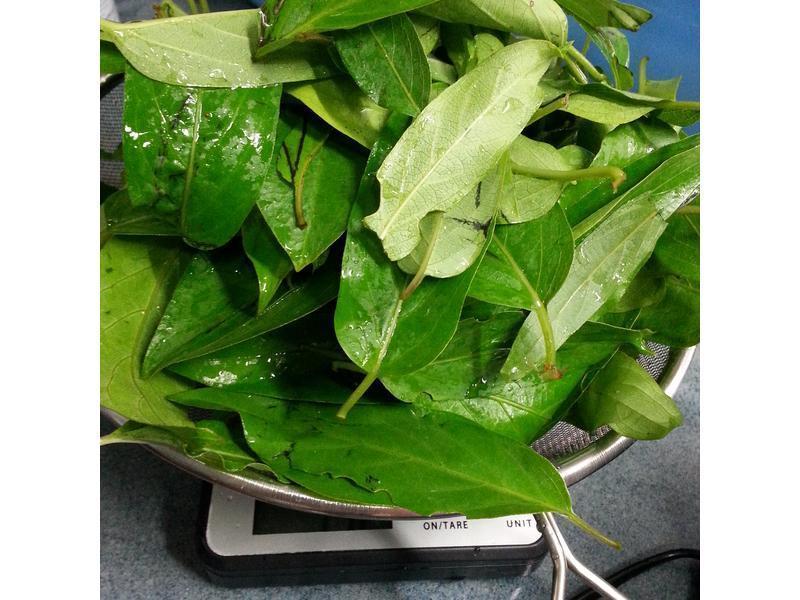 ����/���]Q������~�ͼҲ�� ��ʧ��!������