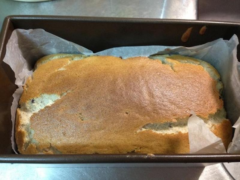 ���춹�ݷ籭�ӵ��� ��������