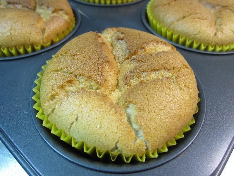 ���춹�ݷ籭�ӵ��� ��������