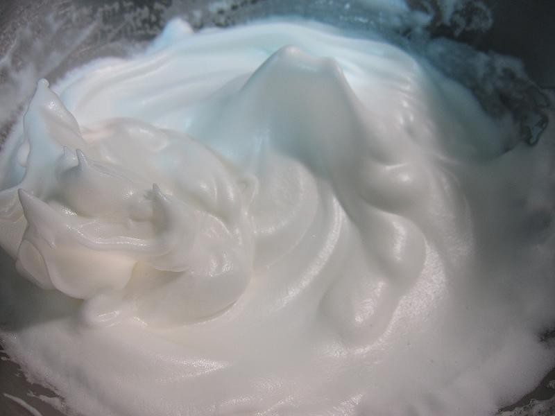 ���춹�ݷ籭�ӵ��� ��������