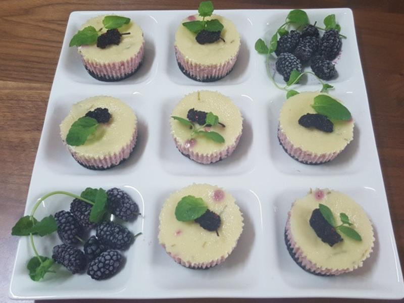 ɣ����ʿС���������