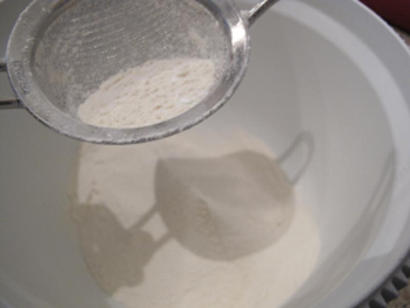 ������˾ţ�ǵ�����