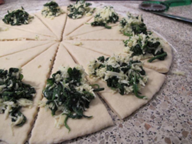 ������˾ţ�ǵ�����