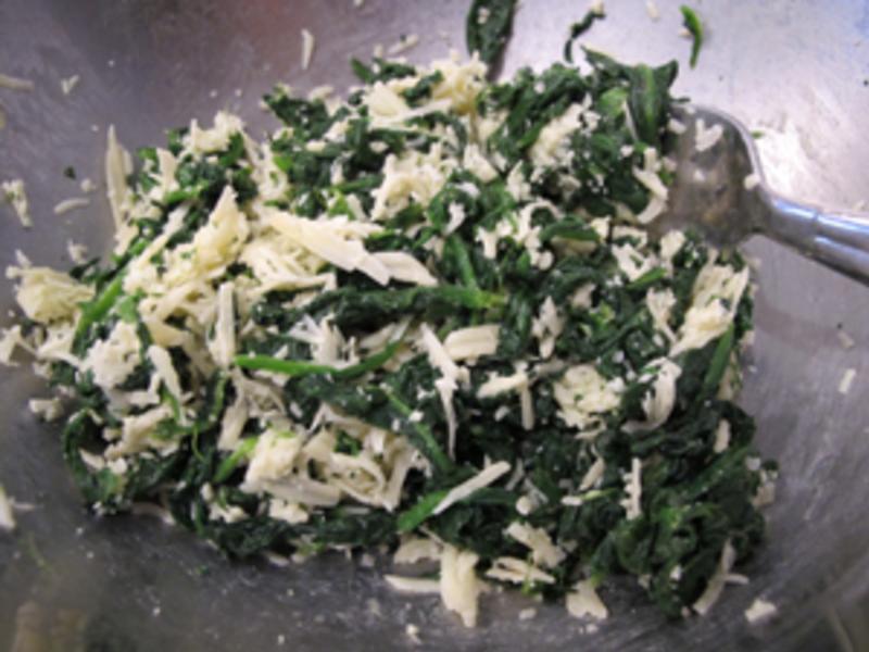 ������˾ţ�ǵ�����