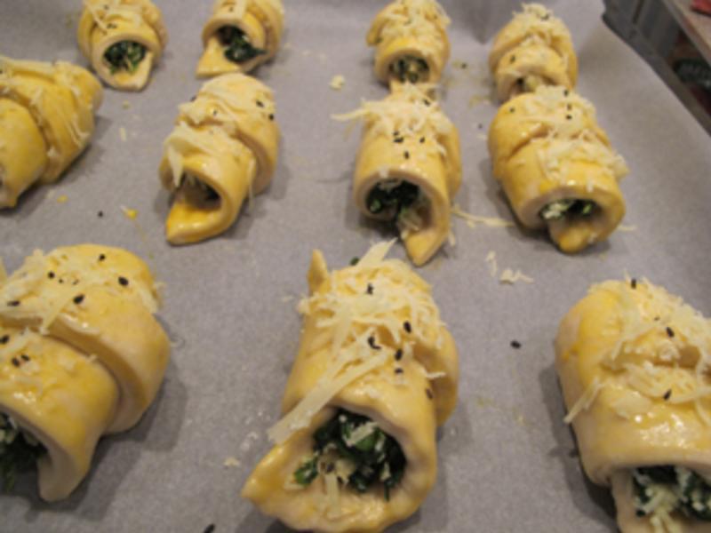 ������˾ţ�ǵ�����