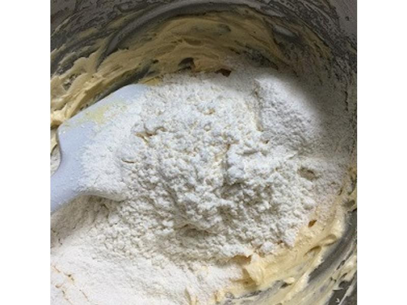 �����������ɵ�����