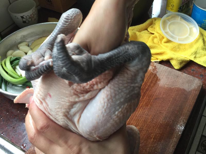 ��ůθ����������