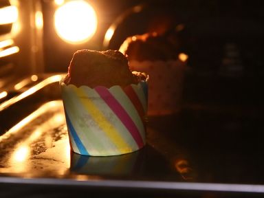 ��ݮֽ�����������