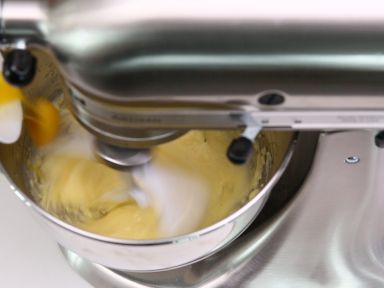 ��ݮֽ�����������