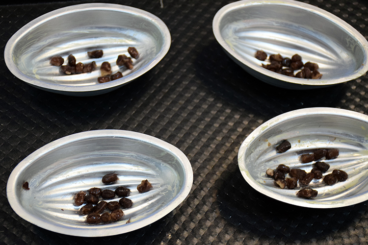 ��������͵��������