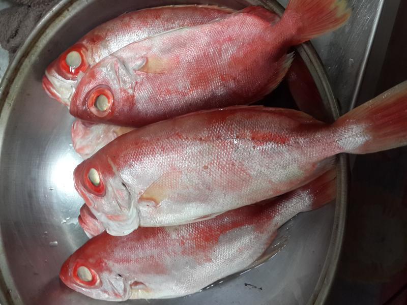 ���պ�Ŀ���������