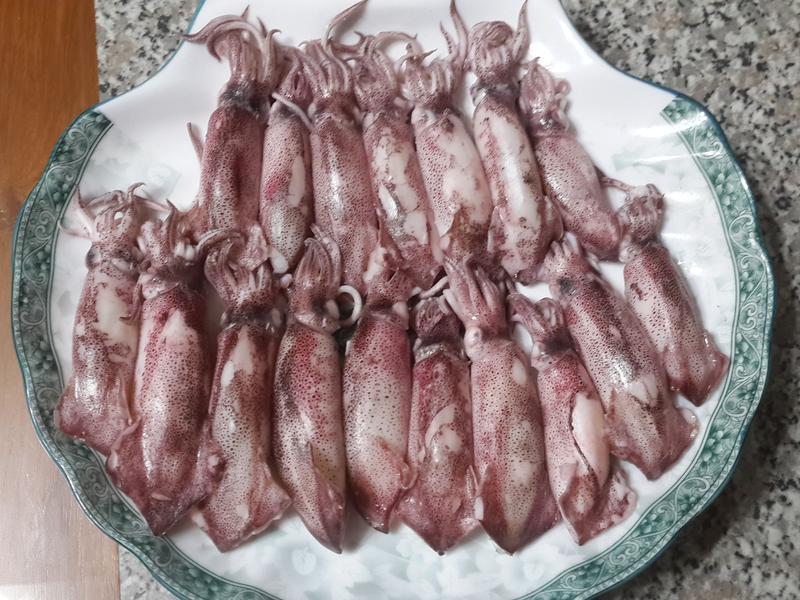 ��ɳ��С��������