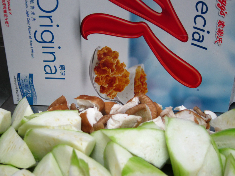 �㹽˿�ϻ�����Ƭ������