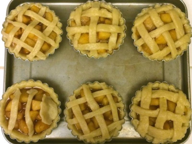 ����ƻ����������