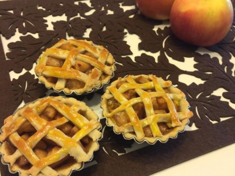 ����ƻ����������