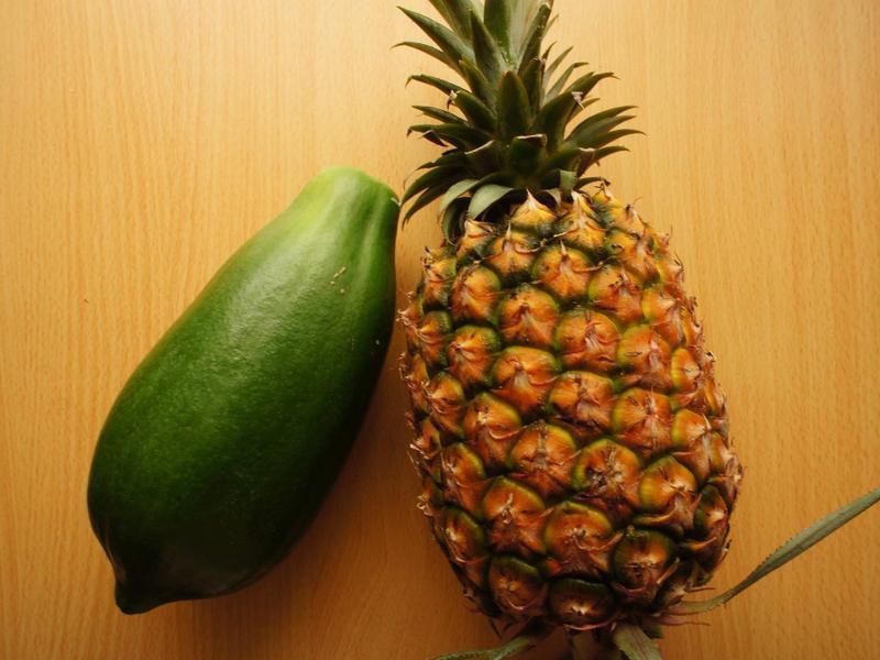 ��ľ�Ϸ�������ǽ�������