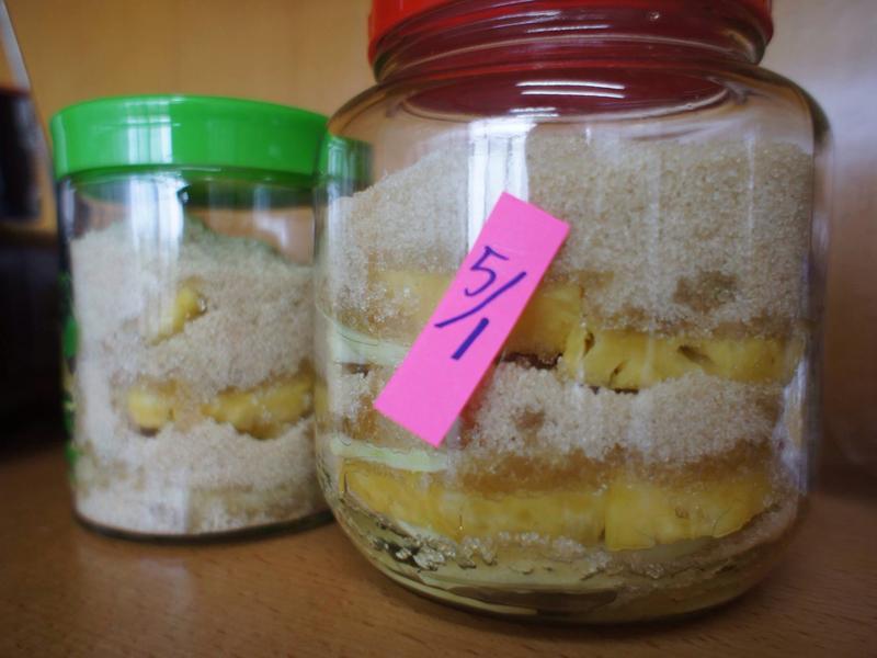 ��ľ�Ϸ�������ǽ�������