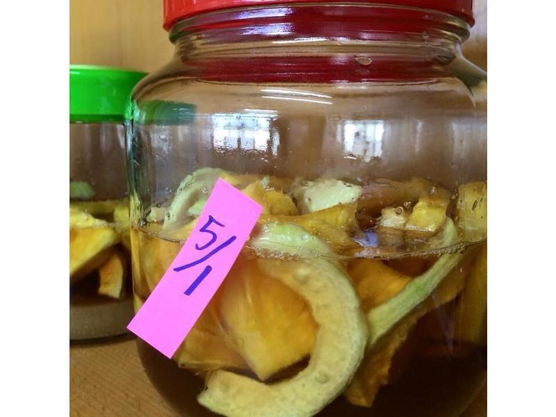 ��ľ�Ϸ�������ǽ�������