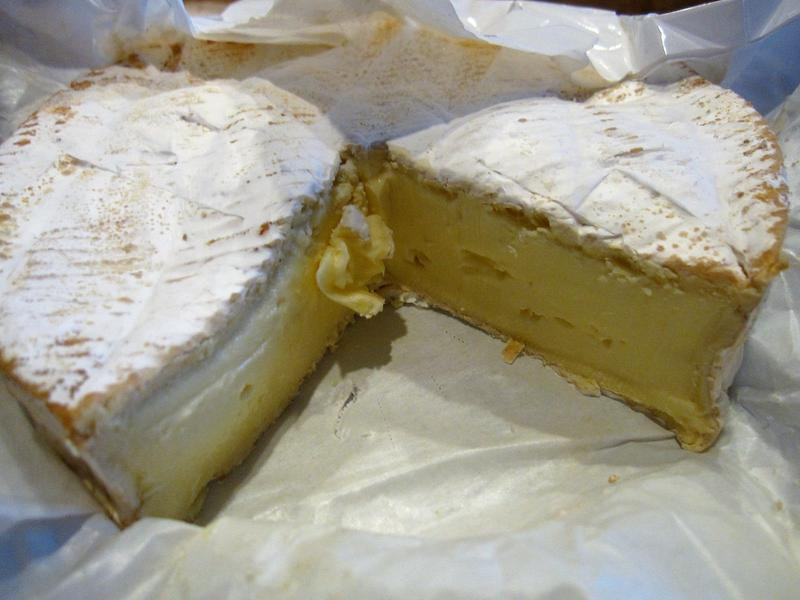 �޵�����˾�����ɵ�����