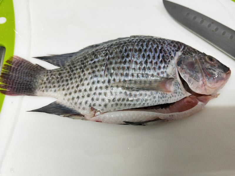 �����Ǵ�����������