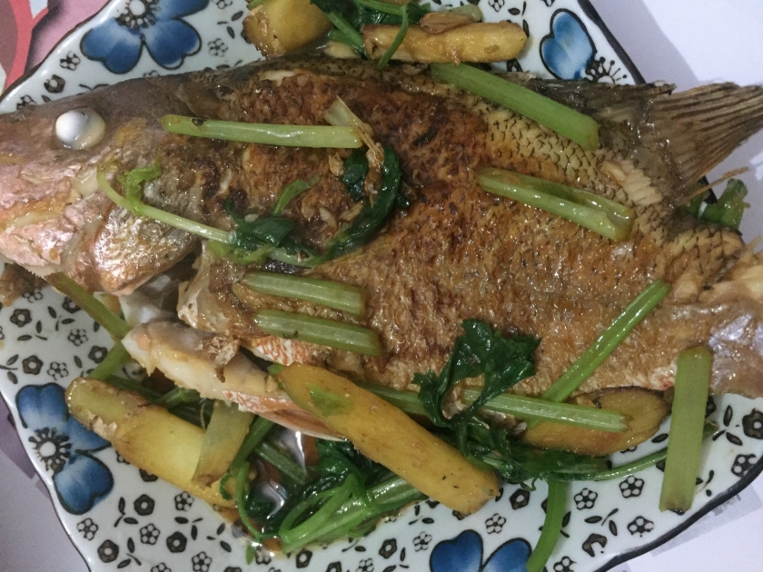 ����֪�����������