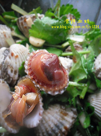 ����Ѫ��������