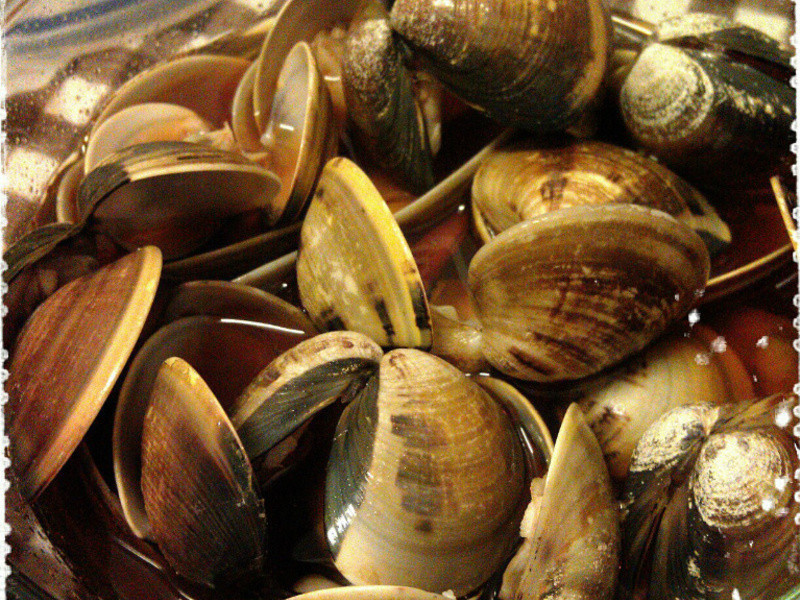 ����õ�����