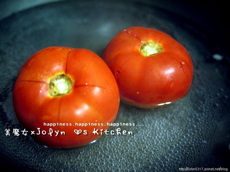 ?�����������ɳ����ʹ���桿������