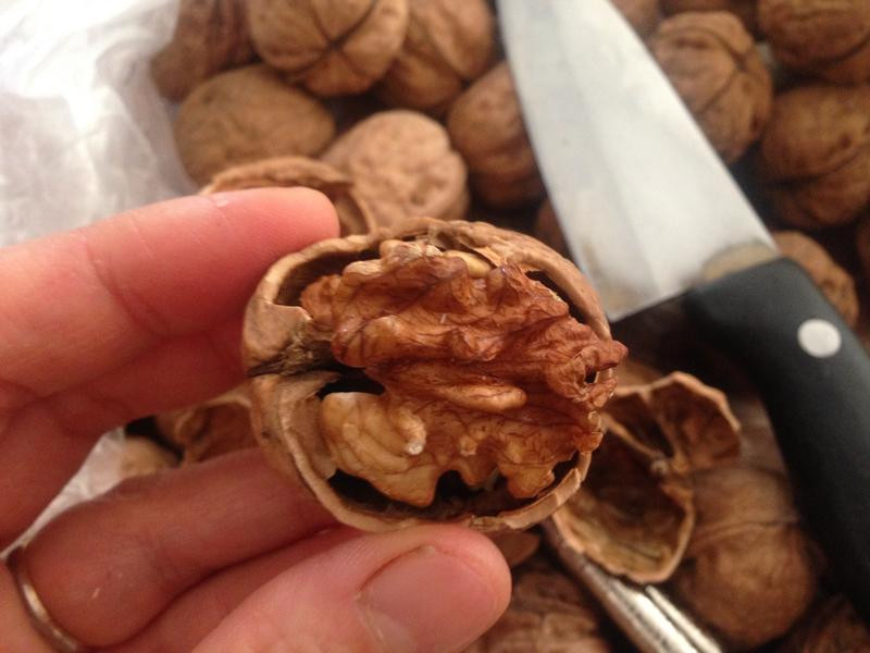 �����ҵ�����