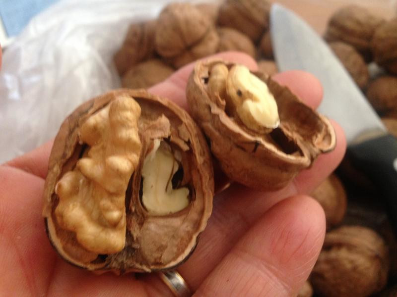 �����ҵ�����