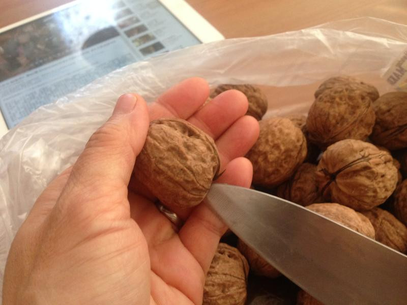 �����ҵ�����