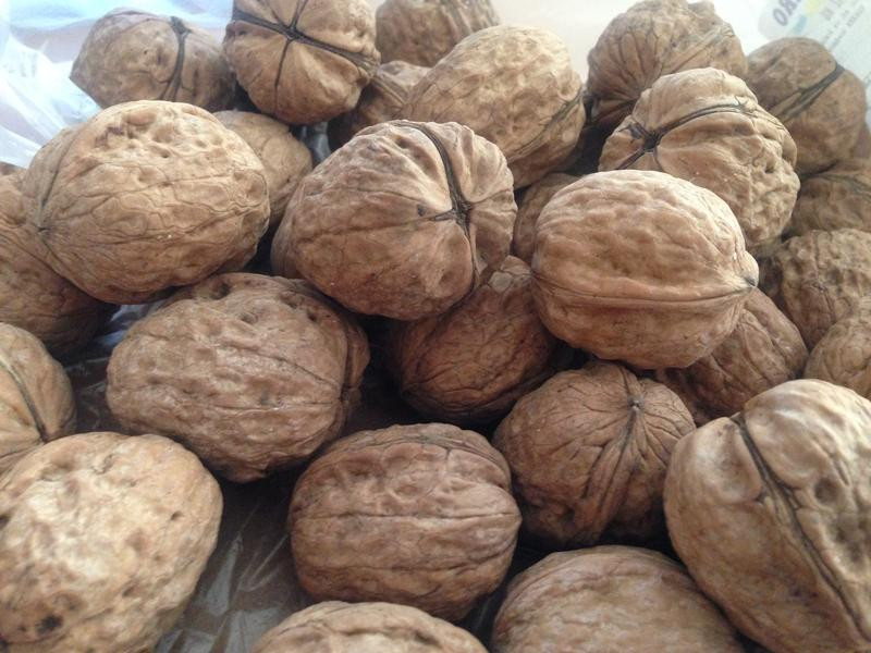 �����ҵ�����