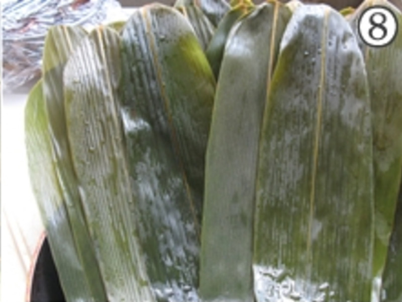 �������յ�����