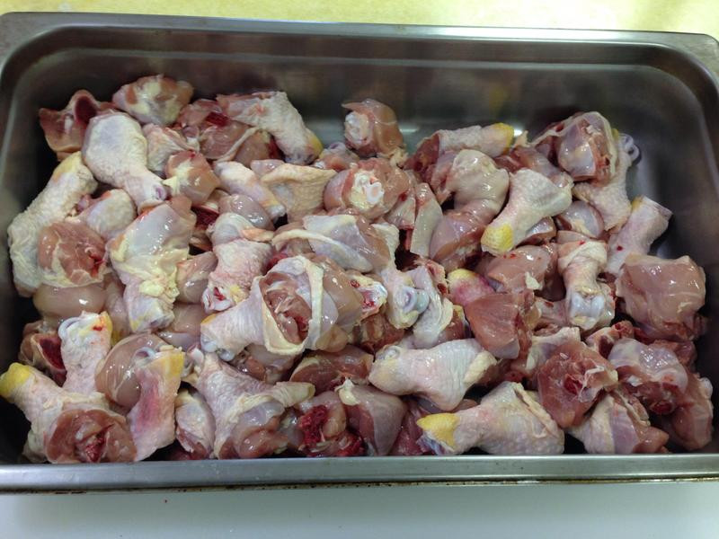 �ϹϿ���������