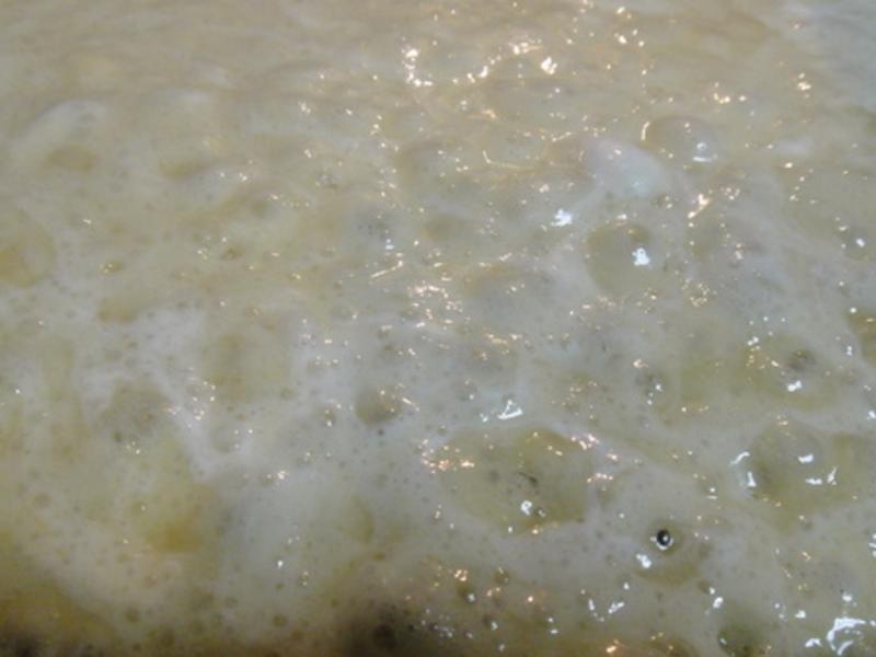 ��ʽ��Խݮ�޻��Ǳ�����?!!!������