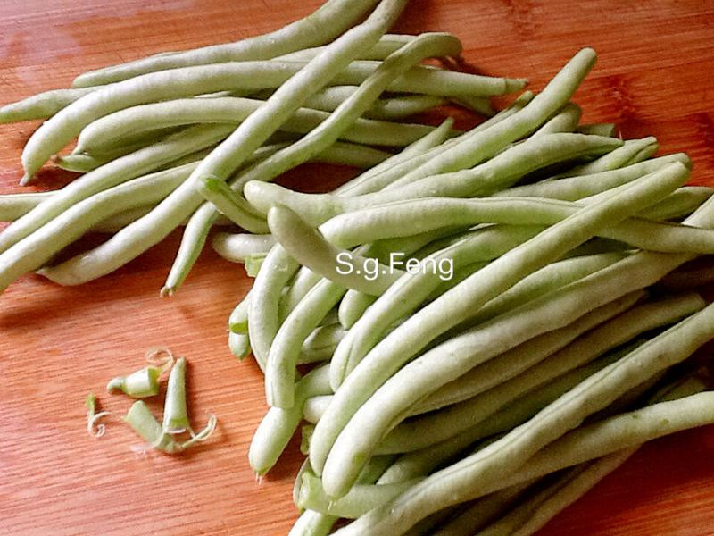 �ļ���ɳ��������