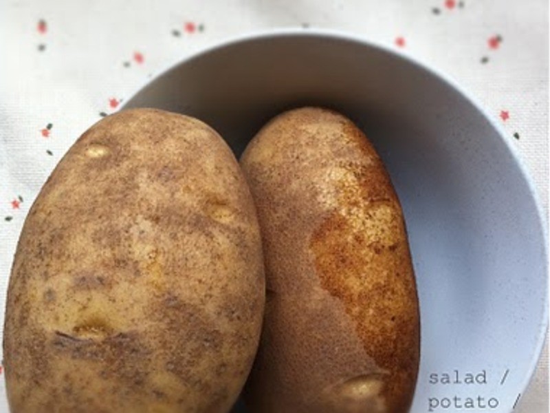 ������ͨ�ķ�ɳ��������