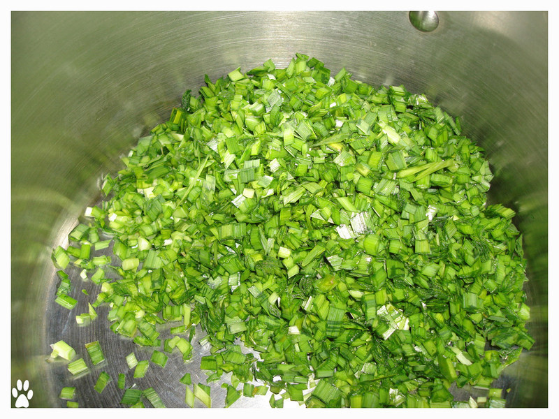 ��ߦ��Ƥ�²���Ϻ���ӵ�����