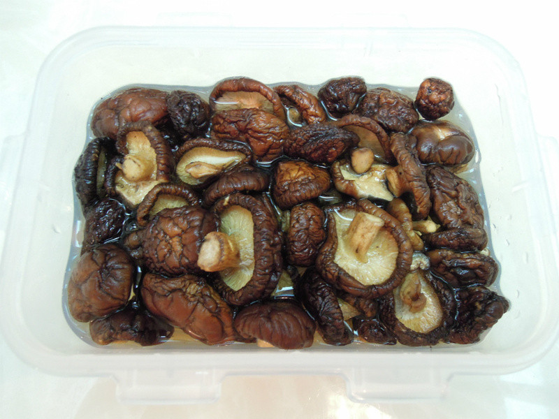 [�������������ζ]---Ұ�˶������������