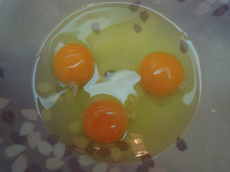 [�������������ζ]---Ұ�˶������������