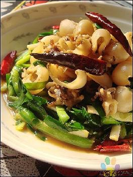 ����ī���е�����