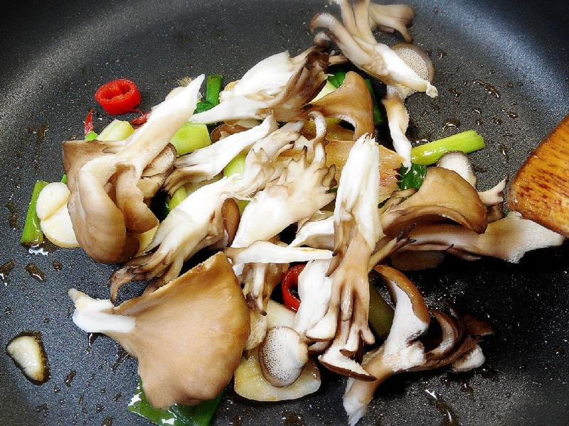 ������֦���蹽������