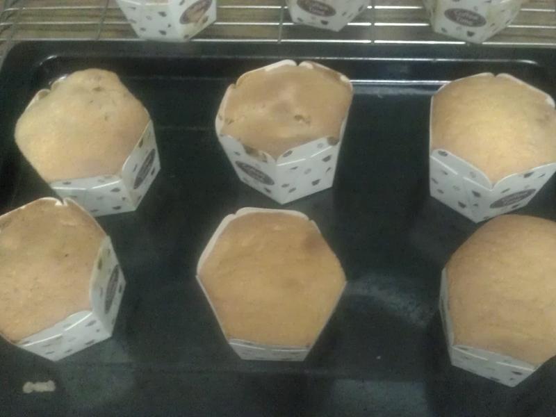 �����̵��������