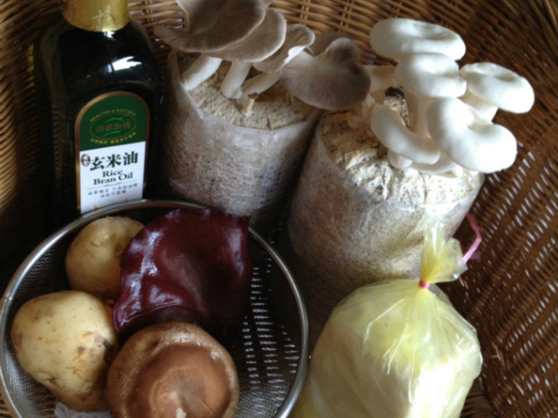 ���������� �ƽ���10���ӳ���ˡ��ƽ�����֮��ʳ�������